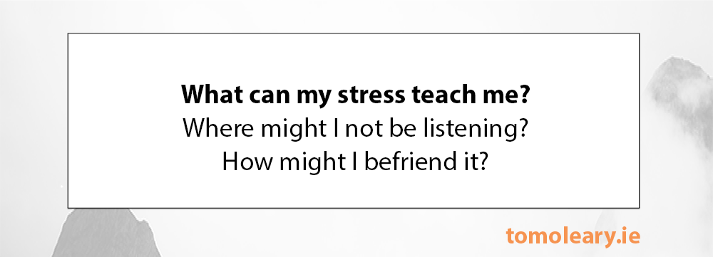 #199 What Can My Stress Teach Me?