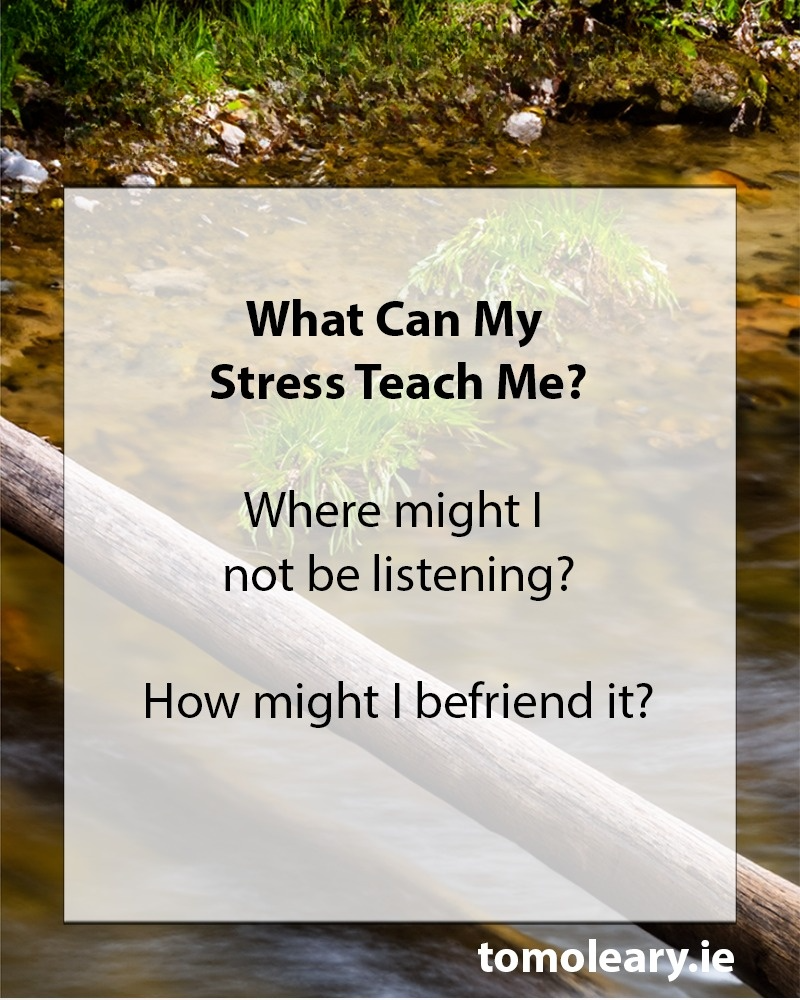 #199 What Can My Stress Teach Me?