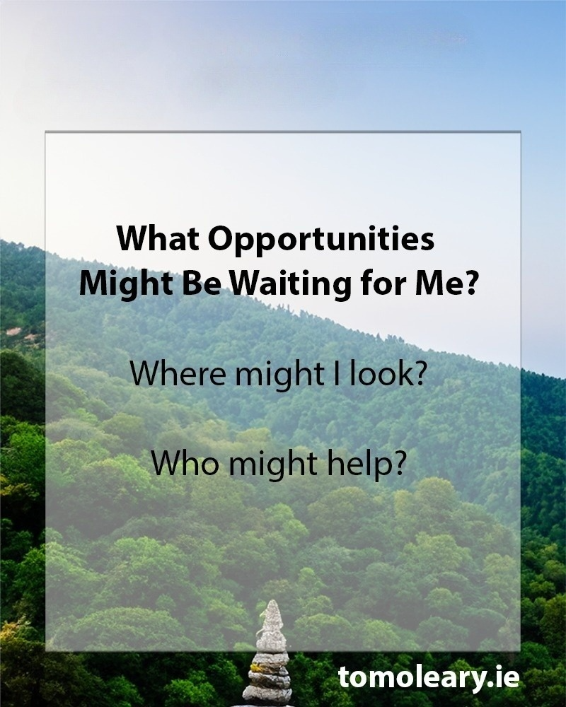 #219 What Opportunities Might Be Waiting for Me?