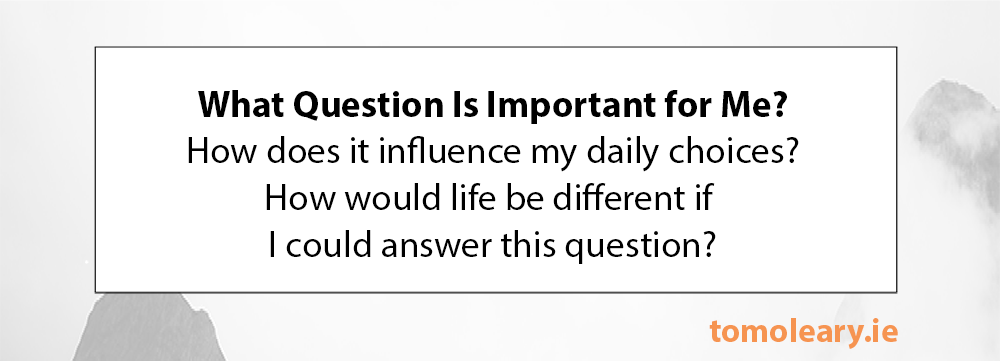 #296 What Question Is Important for Me? #296 What Question Is Important for Me?