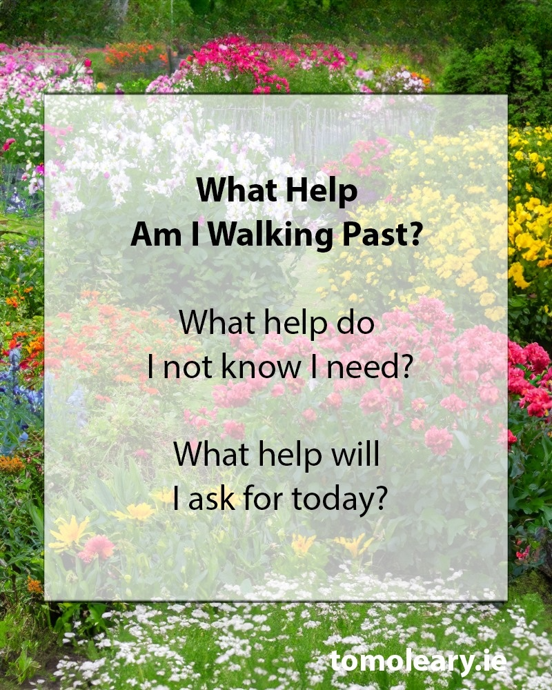 What Help Am I Walking Past?