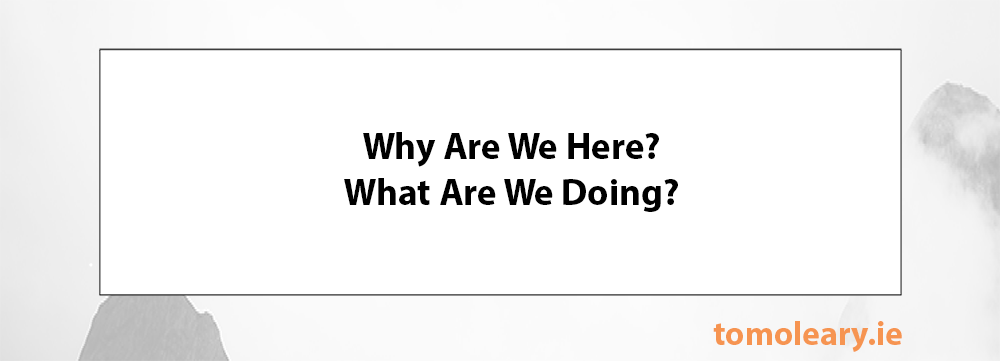 Why are we here? What are we doing?