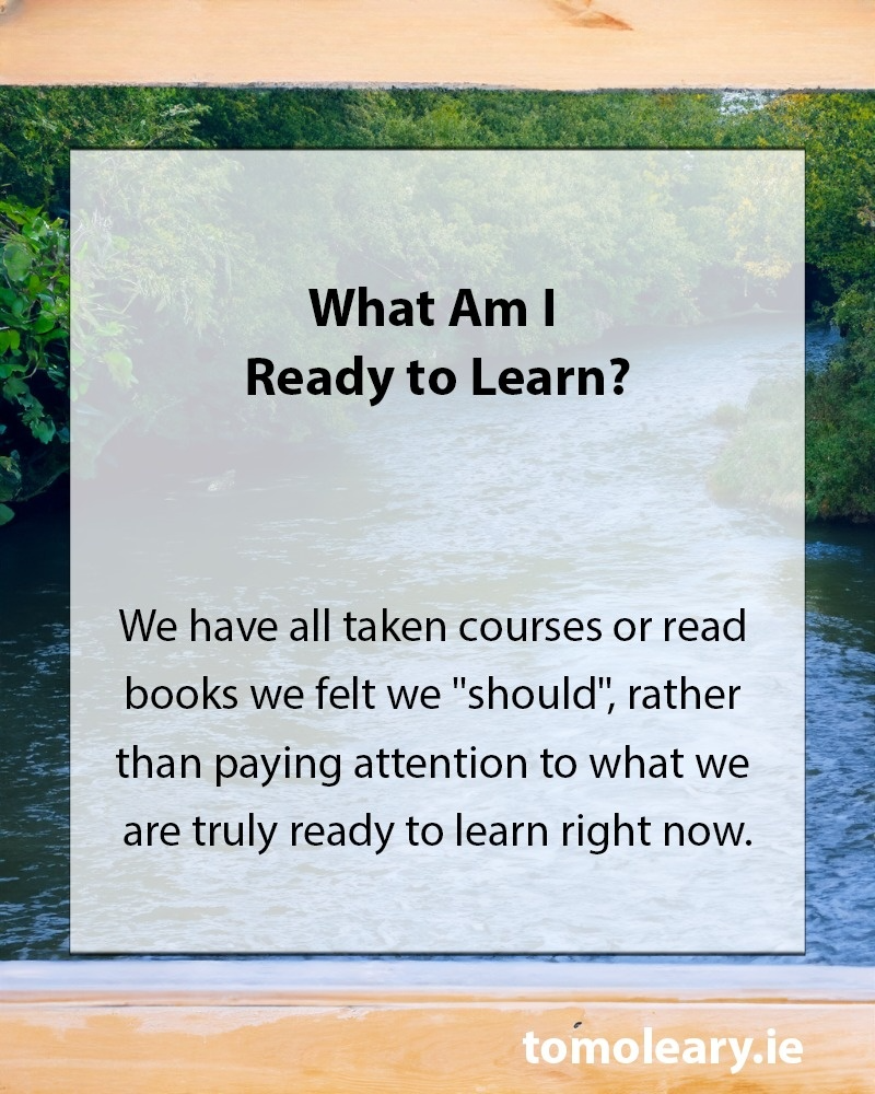 What Am I Ready to Learn?