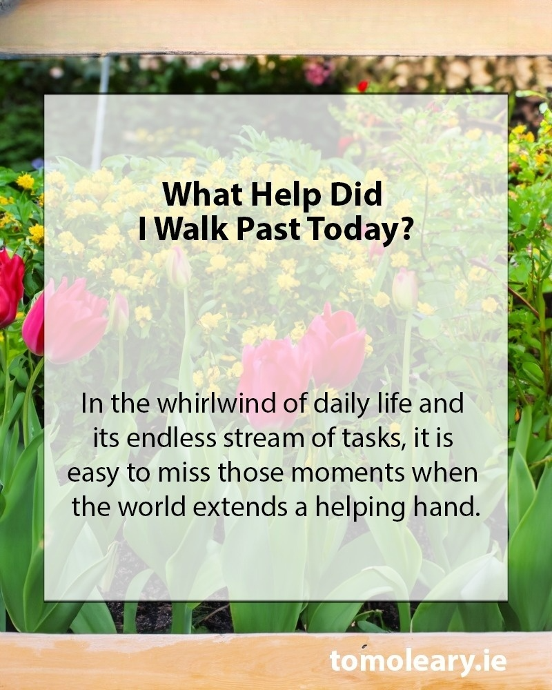 What Help Did I Walk Past Today? In the whirlwind of daily life and its endless stream of tasks, it is easy to miss those moments when the world extends a helping hand.