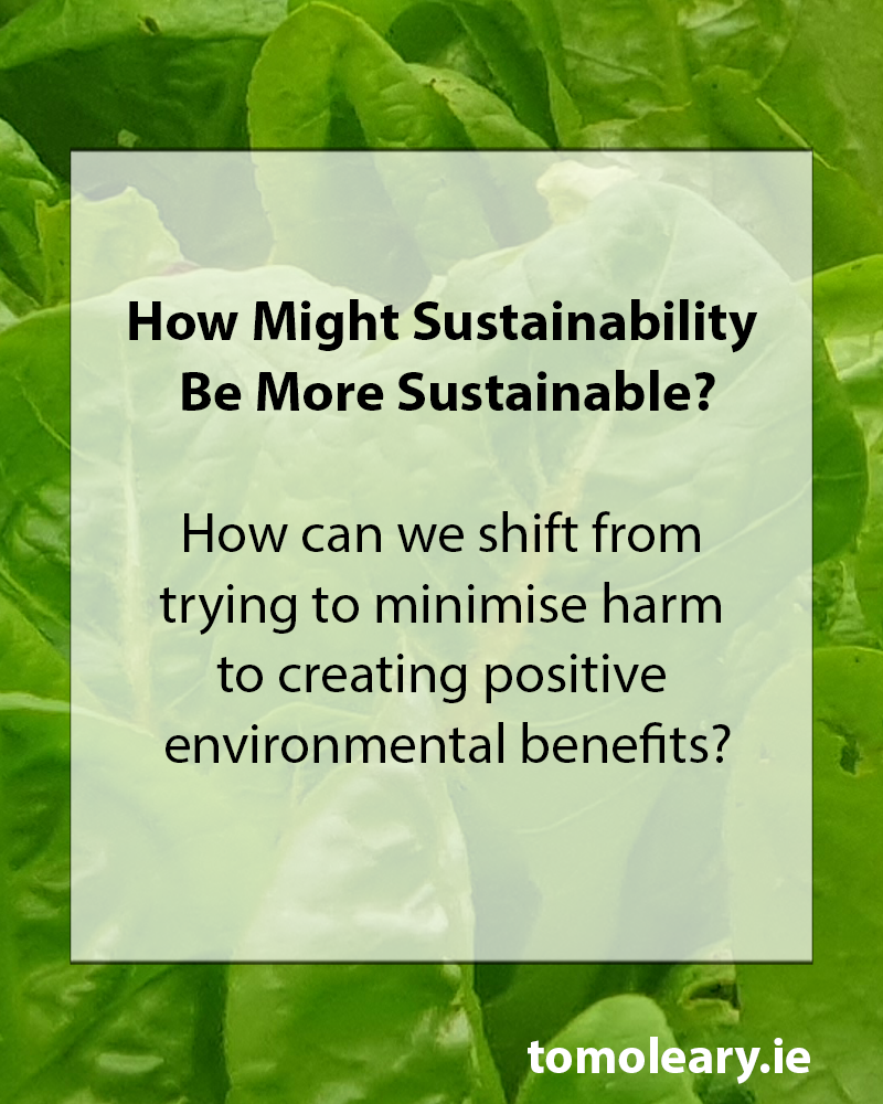 How Might Sustainability Be More Sustainable? 