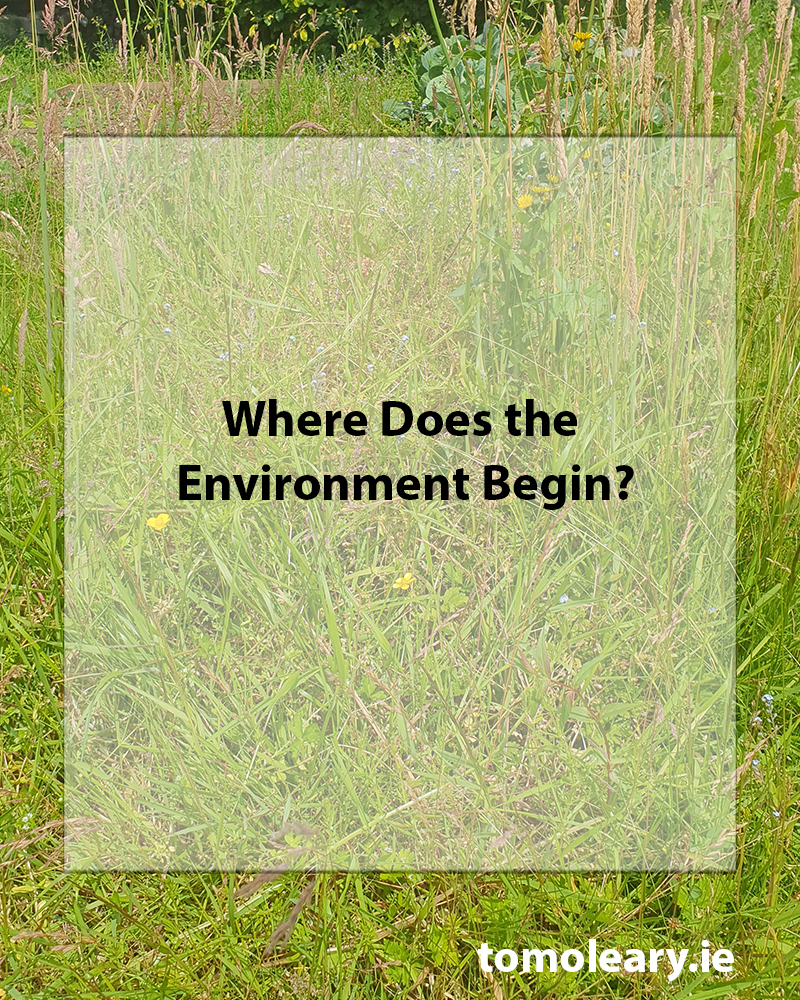 Where Does the Environment Begin?