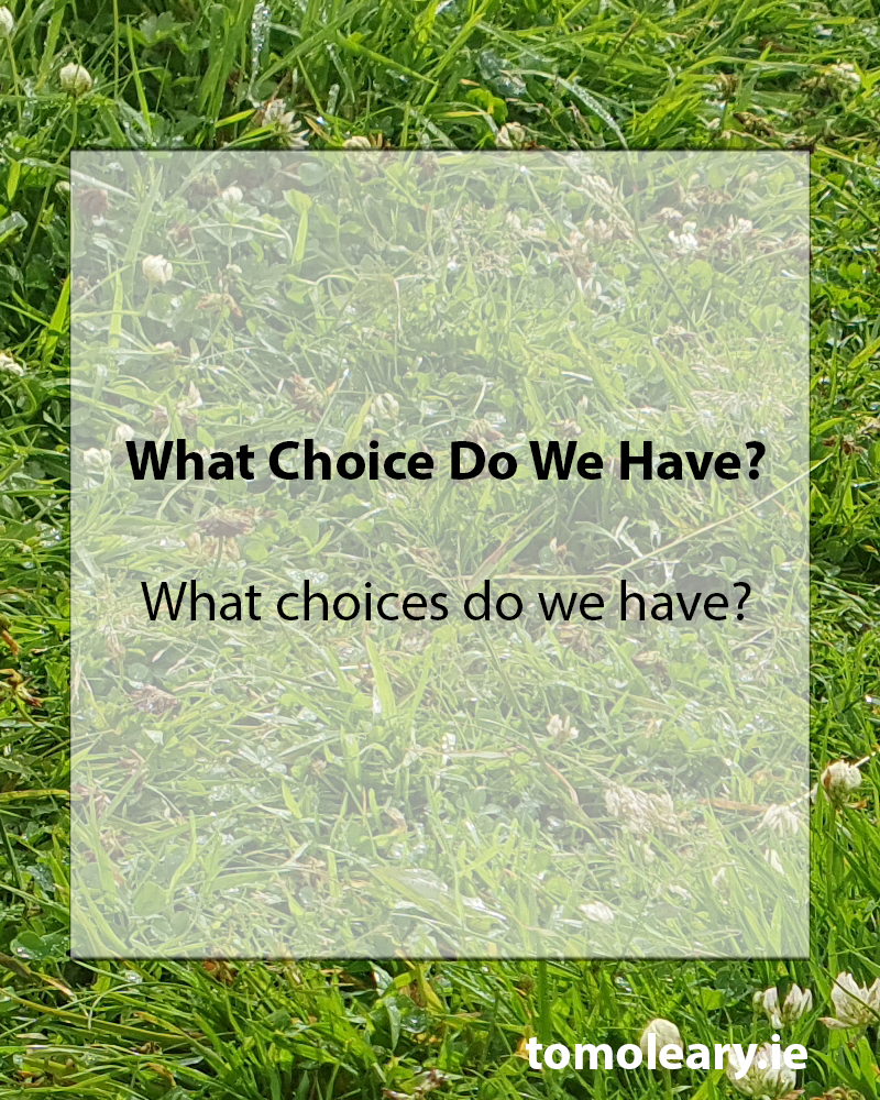 What Choice Do We Have?