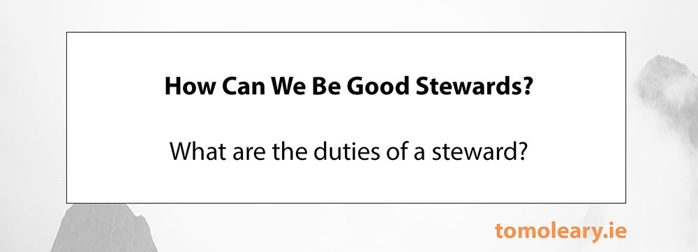 #364 How Can We Be Good Stewards?