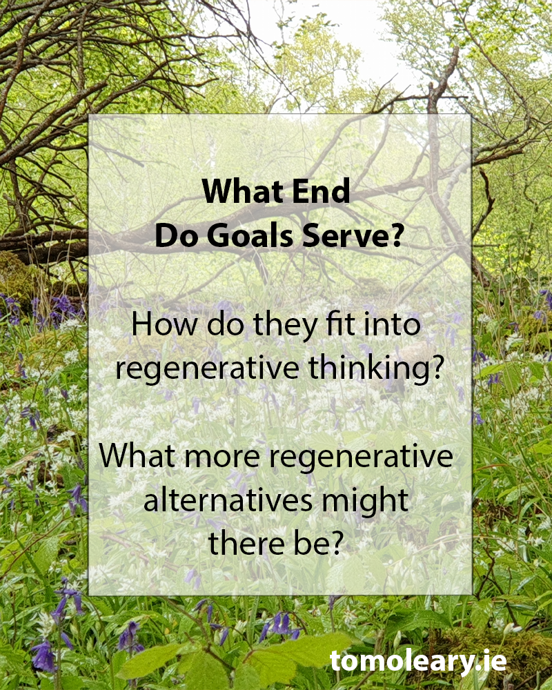What End Do Goals Serve?